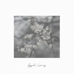 Apple Leaves