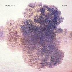 Field Notes III