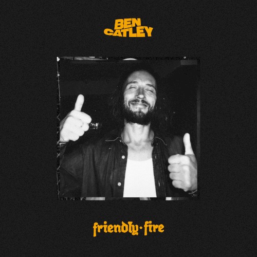 Friendly Fire
