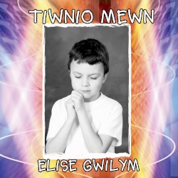 Tiwnio Mewn