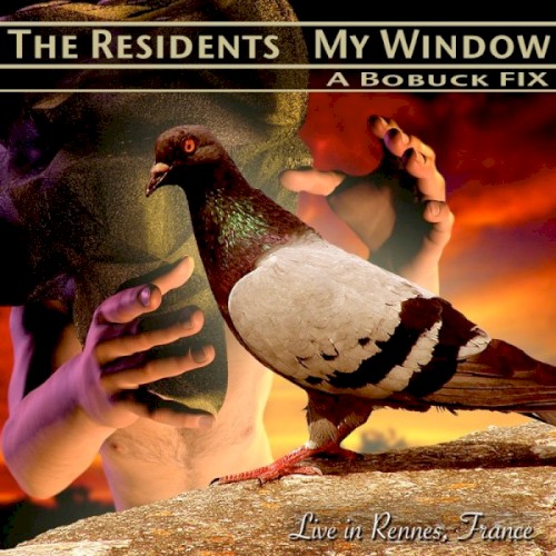 My Window: A Bobuck Fix