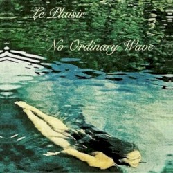 No Ordinary Wave