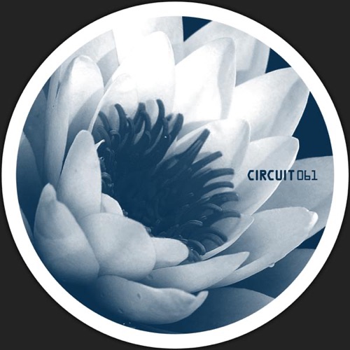 White Lotus