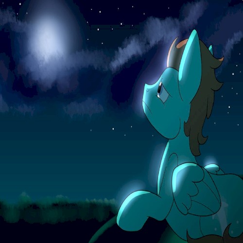 Between the Stars and the Sea