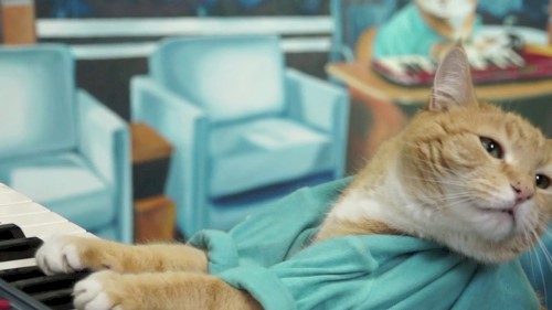 Keyboard Cat 3.0, meet “Skinny”