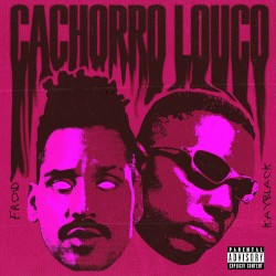 Cachorro louco