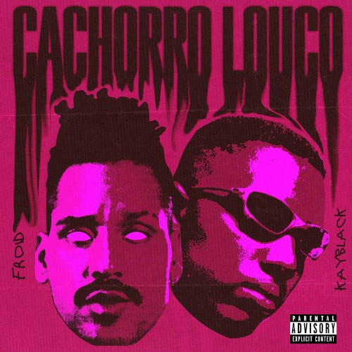 Cachorro louco