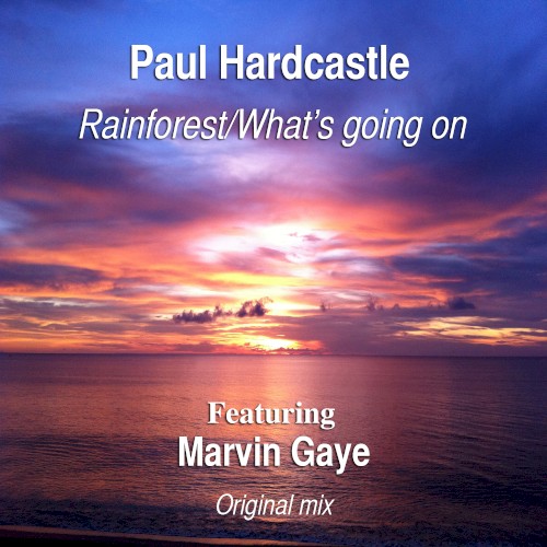 Rainforest/What's Going On (original mix)