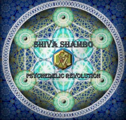 Psychedelic Revolution