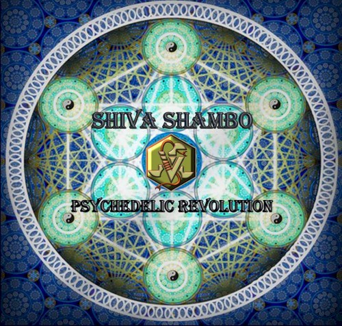 Psychedelic Revolution