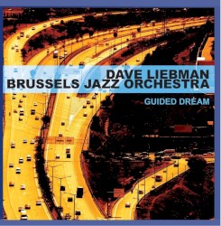 Guided Dream