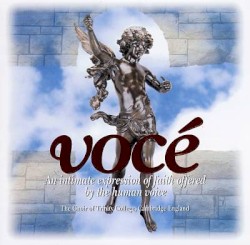 Vocé