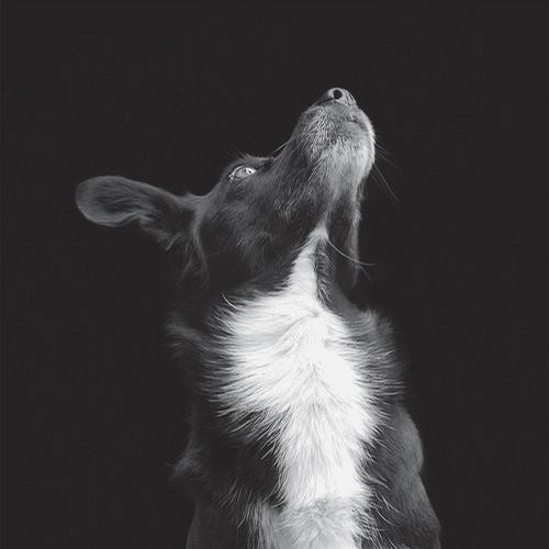 Catchpenny & Cosmos EP