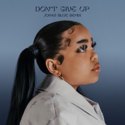 Don't Give Up (Jonas Blue remix)