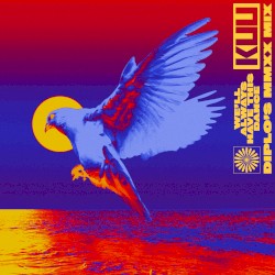 We'll Always Have This Dance (feat. Riton & Shungudzo) [Diplo’s MMXX Mix]