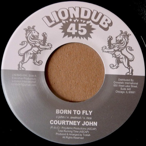Born to Fly / Born to Dub