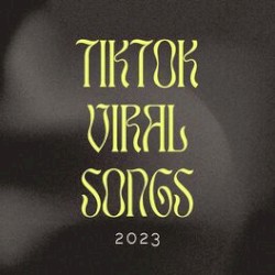 TikTok Viral Songs 2023 (Remix)