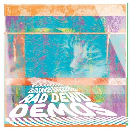 Rad Dewd Demos