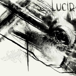 Lucid