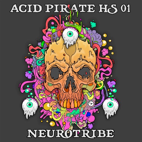 Acid Pirate HS 01