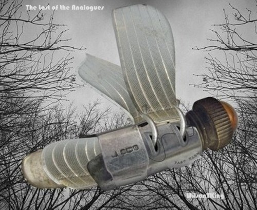 The Last Of The Analogues