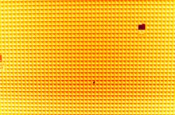 Il pixel innamorato