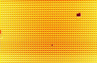 Il pixel innamorato