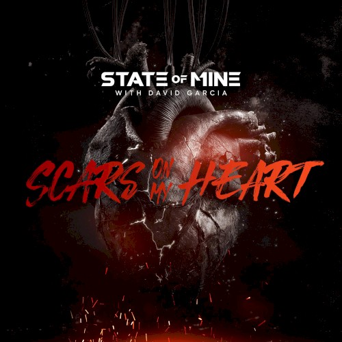 Scars on My Heart