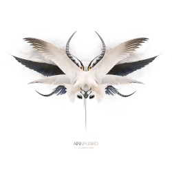 Lifebird