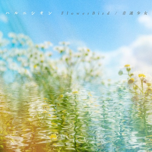 FlowerBird / 音速少女