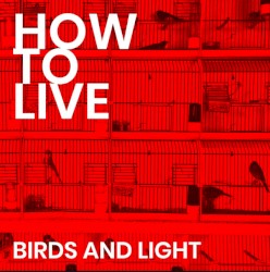 Birds and Light