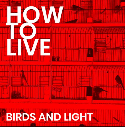 Birds and Light