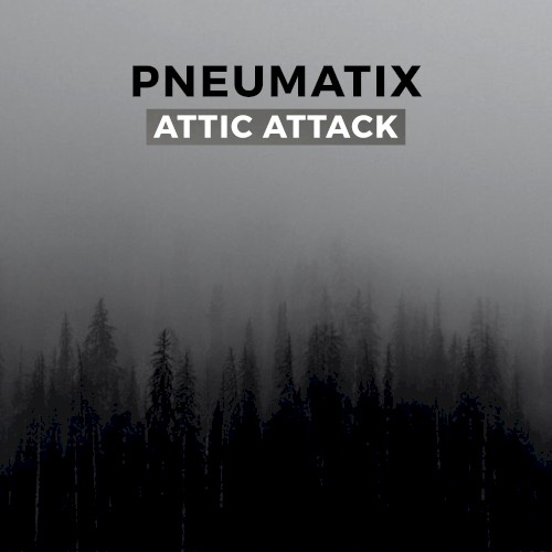 Attic Attack