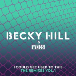 I Could Get Used to This (The Remixes / Vol. 1)