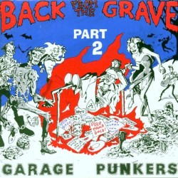 Back From the Grave, Volume 2