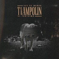 El trampolín
