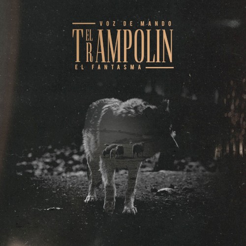 El trampolín