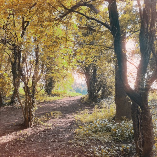 Memorytrail
