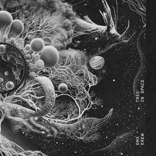 Tree In Space