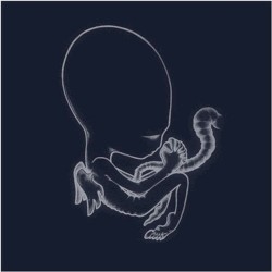Ágætis byrjun