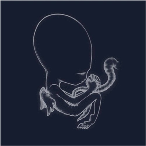 Ágætis byrjun