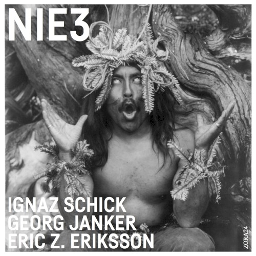 NIE3