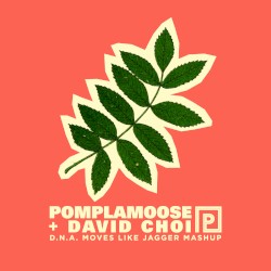 D.N.A. Moves Like Jagger Mashup