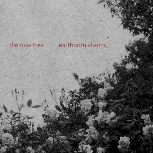 The Rose Tree