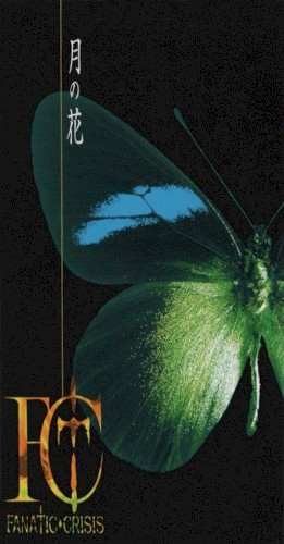 月の花