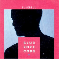 Bluebell