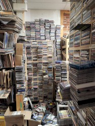 disc rot