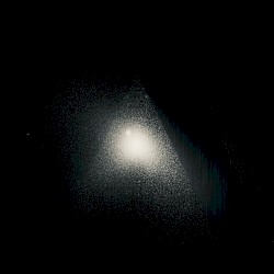Stellar Void