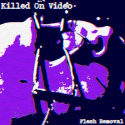 Flesh Removal