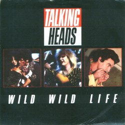 Wild Wild Life